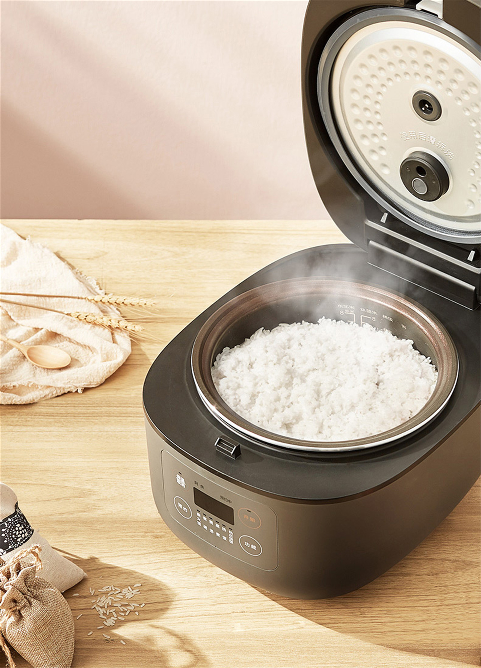 1 Cup Mini Rice Cooker Steamer 12V For Car, Cooking For Soup Porridge and  Rice, Cooking Heating and Keeping Warm Function, Can b - AliExpress