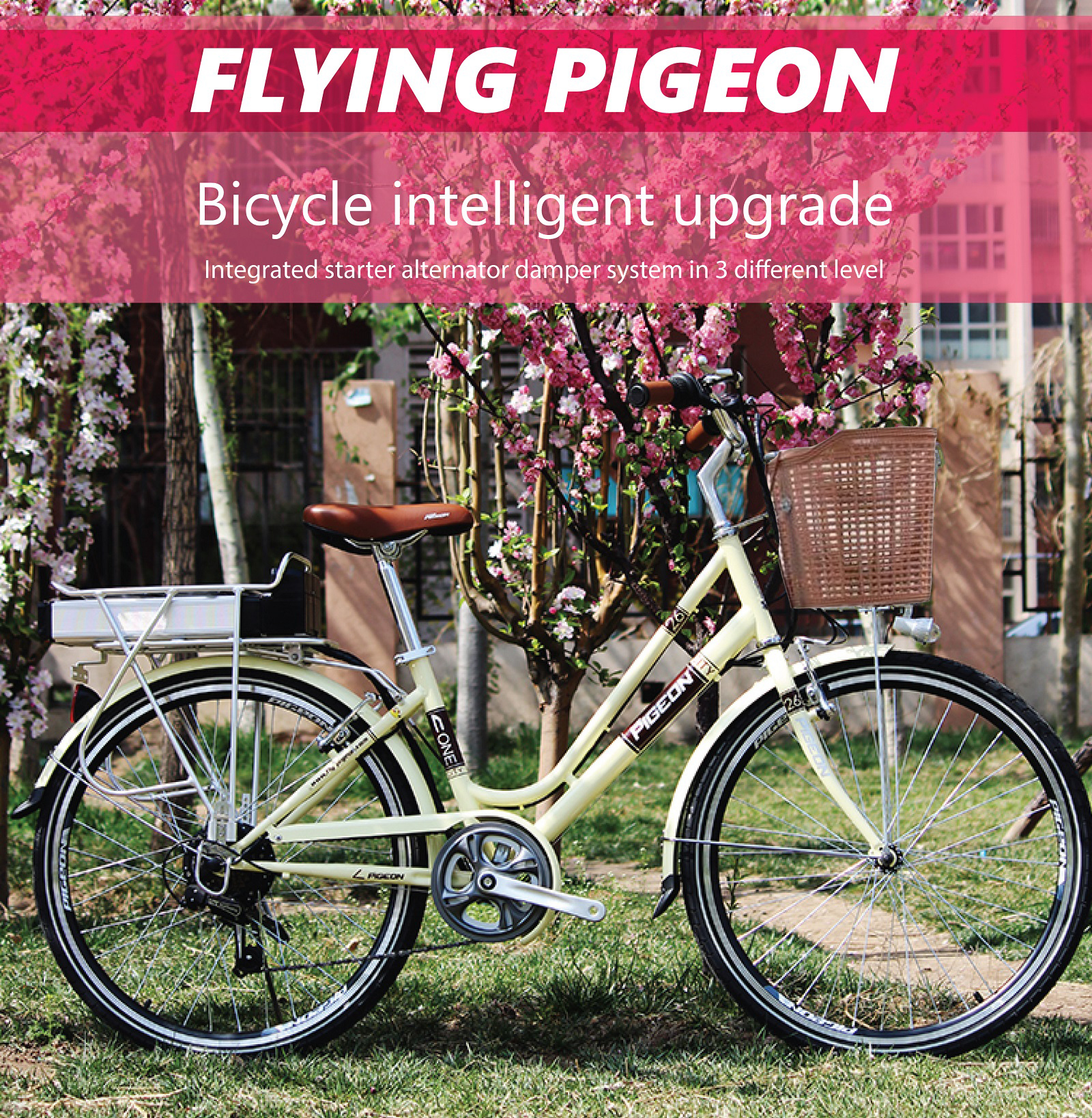 flying pigeon ladies bicycle