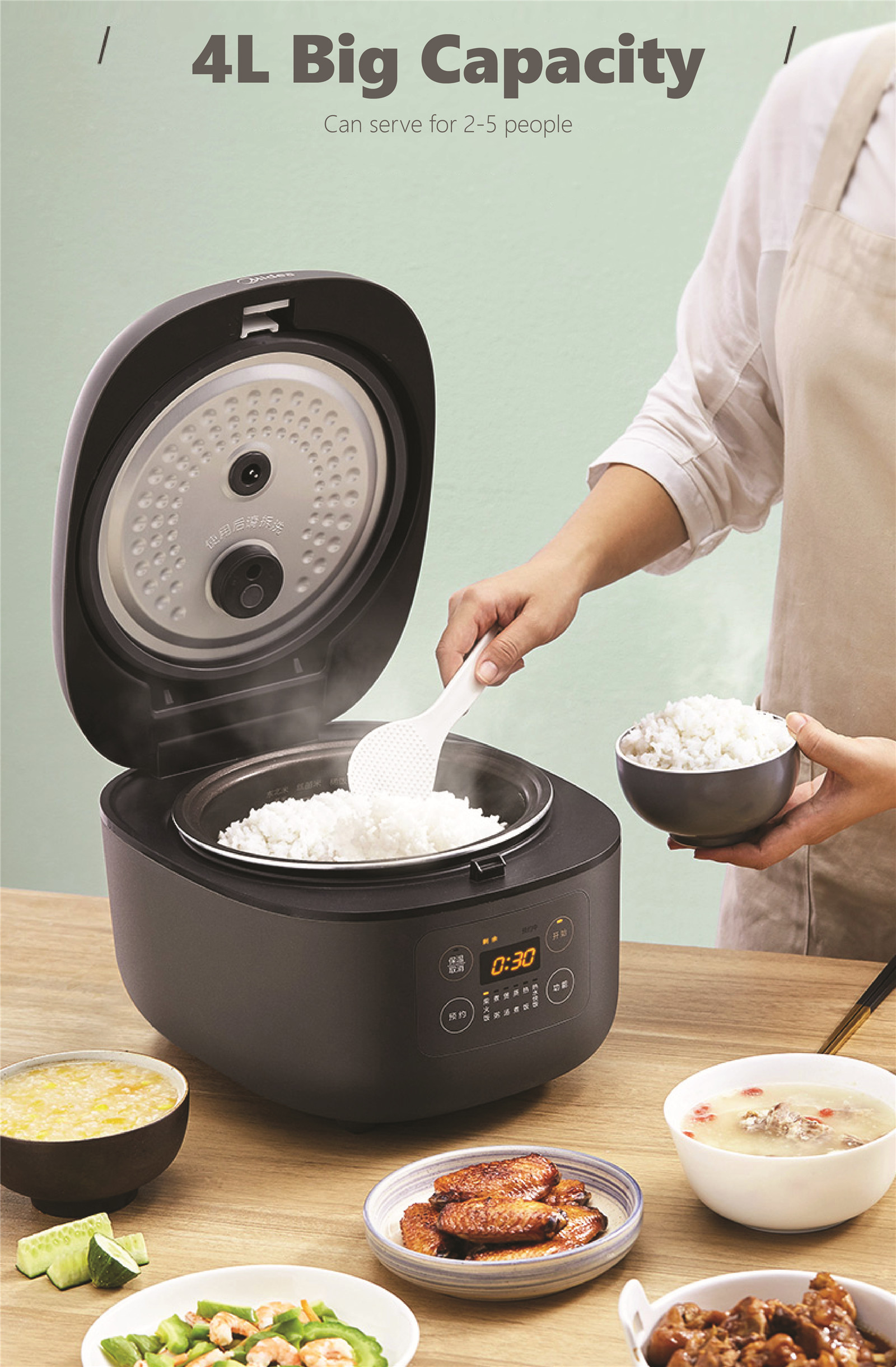 house rice cooker